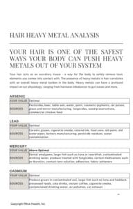 Foundation Protocol Hair Heavy Metals Panel