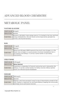 Foundation Protocol Metabolic Panel