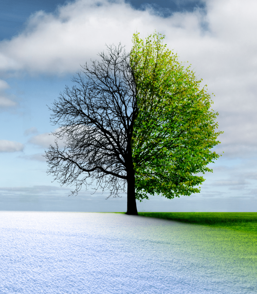 The Balance of the Equinox