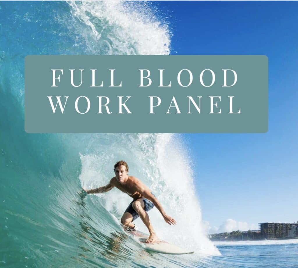 Full blood work panel