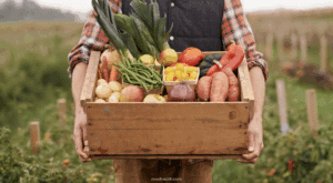 Understanding Food Labels