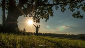 Nature, Home & Longevity: How Our Environment Shapes Our Health