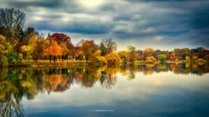 The Autumn Equinox: Honoring Balance, Release, and Renewal